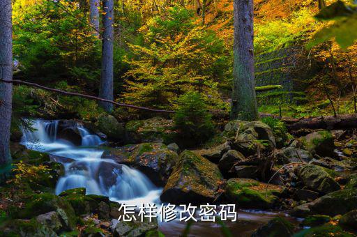 怎樣改國稅密碼是什么，山東省國家稅務局網(wǎng)上辦稅平臺納稅人的密碼怎么改