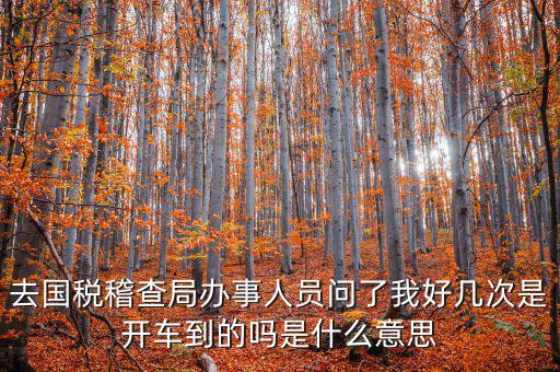 國稅說需要運(yùn)維是什么意思，什么條件需要辦理國稅我是一個月收入2千左右的維修小檔口也要輸