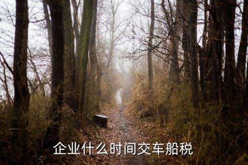 什么時候申報車船稅，車船稅應(yīng)當(dāng)在什么時候申報繳納 承德