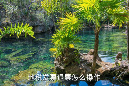 國稅地稅如何退稅，地稅發(fā)票退票怎么操作