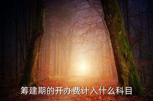 公司籌建期的費(fèi)用計(jì)入什么科目，籌建期的開(kāi)辦費(fèi)計(jì)入什么科目