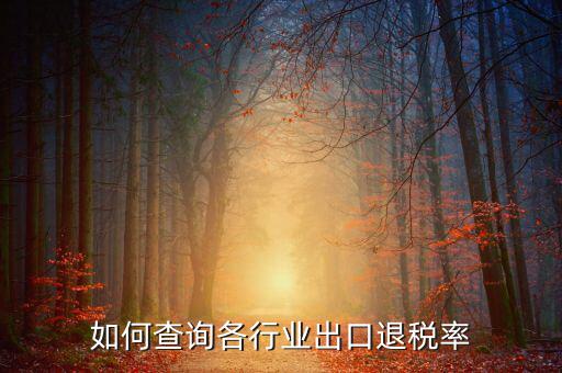 如何查詢退稅率，查詢出口退稅率