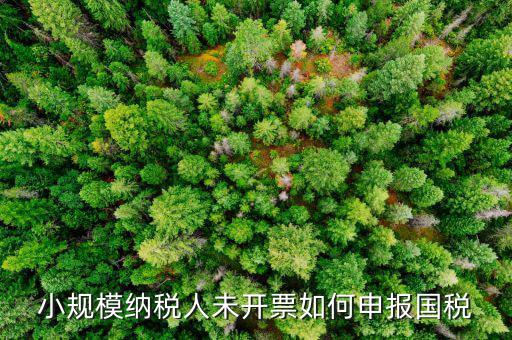 不征稅發(fā)票 如何申報(bào)，零星的銷(xiāo)售對(duì)方不要發(fā)票怎么報(bào)稅