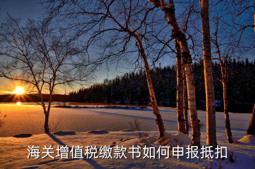 海關(guān)增值稅如何抵扣，海關(guān)增值稅繳款書如何申報(bào)抵扣