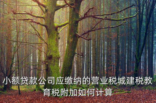 小額貸款公司如何繳稅，小額貸款公司的營(yíng)業(yè)稅怎么算 sitewenwensosocom