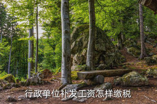 補(bǔ)發(fā)工資如何計稅，我16個月未領(lǐng)工資現(xiàn)在一次性補(bǔ)發(fā)個稅怎么繳納
