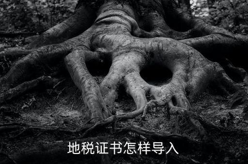 如何導入地稅證書，地稅證書怎樣導入