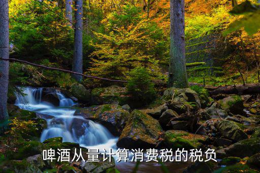 啤酒如何計(jì)算消費(fèi)稅，啤酒從量計(jì)算消費(fèi)稅的稅負(fù)