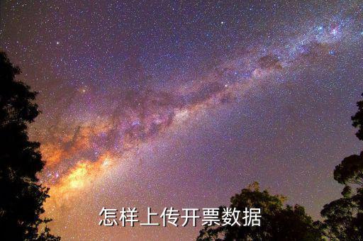 如何上傳進項發(fā)票明細，怎樣上傳開票數據