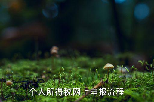 如何網上申請個稅，個人所得稅網上申報流程