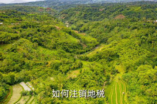 如何注銷地稅，如何注銷地稅