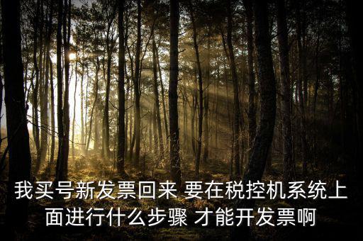 稅控系統(tǒng)如何開票，我買號新發(fā)票回來 要在稅控機(jī)系統(tǒng)上面進(jìn)行什么步驟 才能開發(fā)票啊