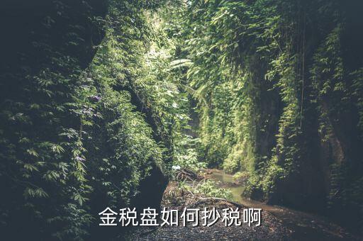 金稅盤(pán)如何抄報(bào)稅，金稅盤(pán)如何抄稅啊