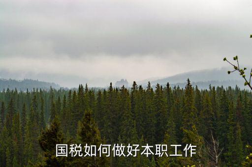 如何做好基層國(guó)稅工作，如何做好新形勢(shì)下的國(guó)稅工作