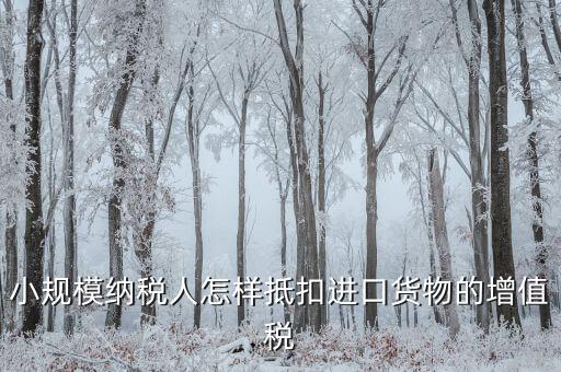 小規(guī)模如何抵扣進(jìn)項，小規(guī)模增值稅怎么抵扣