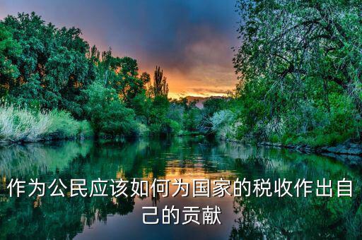 作為公民應該如何為國家的稅收作出自己的貢獻