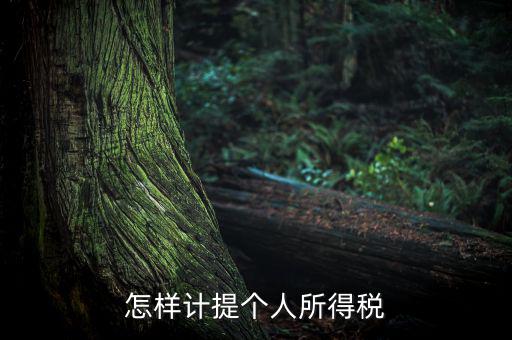 個(gè)人所得稅如何計(jì)提，如何計(jì)提個(gè)人所得稅