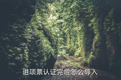 抵扣票如何認證系統(tǒng)下載，增值稅發(fā)票怎樣自己認證需要下載什么軟件什么步驟呢