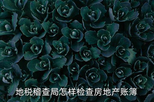 地稅稽查局怎樣檢查房地產賬簿