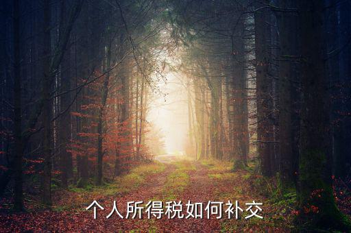 個稅如何補繳，個人所得稅如何補交
