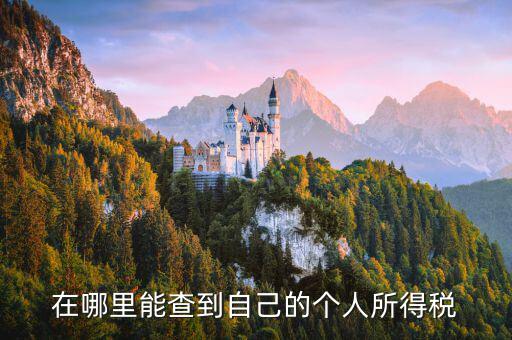 如何查看自己交稅，怎么查自己交了多少稅