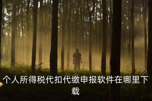 代扣代繳國稅如何申報系統(tǒng)下載，國稅增值稅小規(guī)模稅務電子申報軟件在哪里下載呢