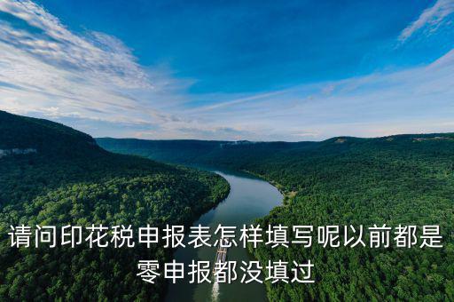 2004年版印花稅納稅申報表如何填寫，印花稅申報報表要怎么填啊