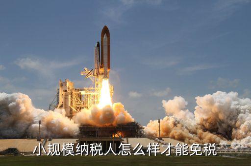 小規(guī)模納稅人如何避免增值稅，小規(guī)模怎么避增值稅呢