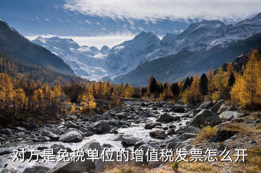 免稅企業(yè)如何開票，免征增值稅稅的發(fā)票怎么開