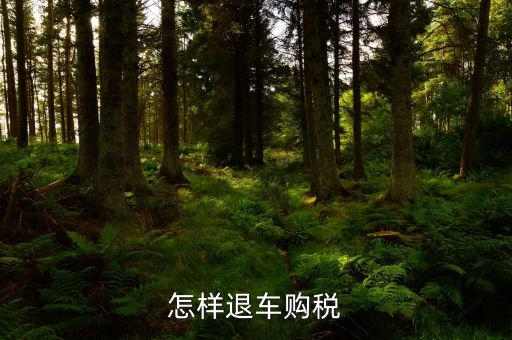 車輛購(gòu)置稅如何退稅，怎么退車輛購(gòu)置稅
