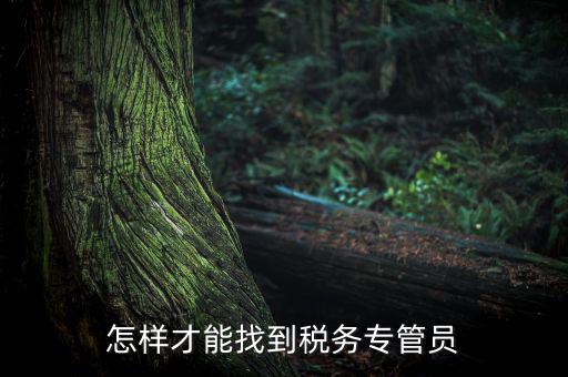 如何查詢辦稅人員，誰能告訴我不去稅務(wù)局怎么樣查詢專管員
