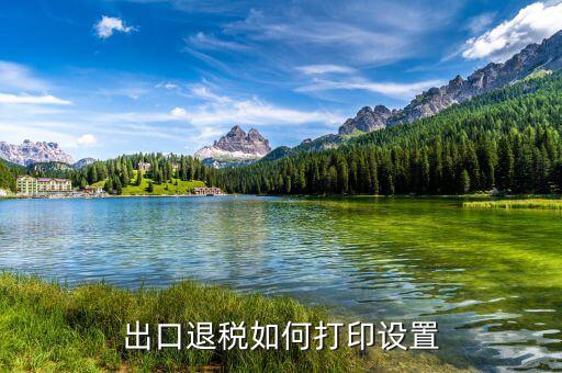 如何打印出口退稅備案表，出口退稅系統(tǒng)內(nèi)的增值稅申報(bào)表如何打印