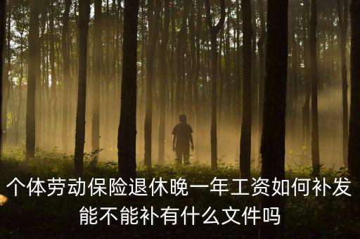如何補(bǔ)發(fā)工資，個體勞動保險退休晚一年工資如何補(bǔ)發(fā)能不能補(bǔ)有什么文件嗎
