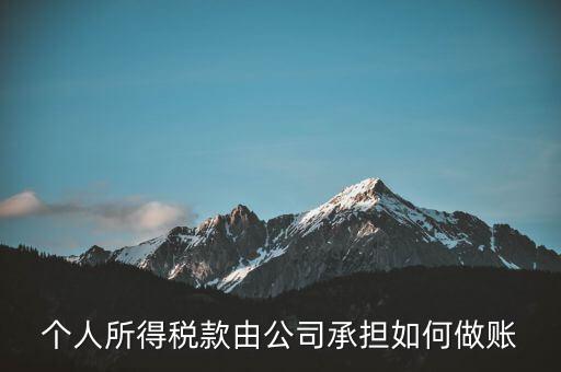 個稅公司承擔(dān) 如何報銷，個人所得稅款由公司承擔(dān)如何做賬