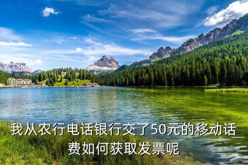 湖北移動(dòng)電子發(fā)票如何獲取，中國移動(dòng)手機(jī)帳單電子發(fā)票怎么樣下載