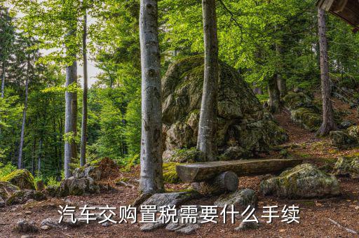車輛購(gòu)置稅如何辦理，購(gòu)買車輛購(gòu)置稅需要哪些手續(xù)