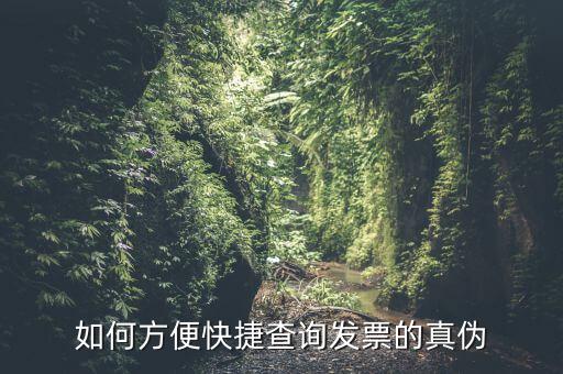 上海如何查發(fā)票真?zhèn)?，上海發(fā)票真?zhèn)尾樵?xún)