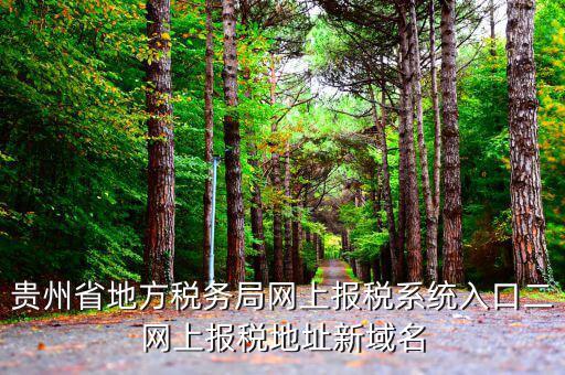 貴州地稅如何網(wǎng)上申報(bào)，貴州省地方稅務(wù)局網(wǎng)上報(bào)稅系統(tǒng)入口二網(wǎng)上報(bào)稅地址新域名