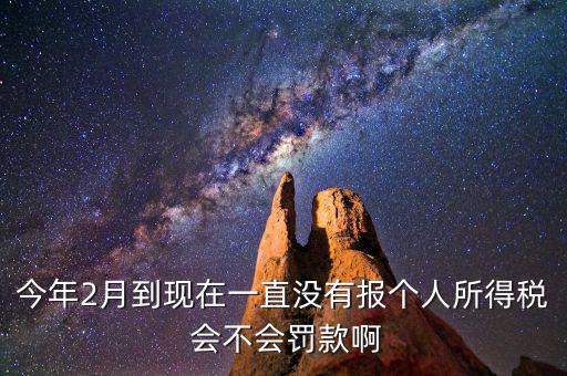 個稅申報不報會如何，個人所得稅自行申報不去做有什么危害