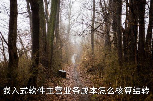 嵌入式軟件成本如何確定，嵌入式軟件主營(yíng)業(yè)務(wù)成本怎么核算結(jié)轉(zhuǎn)
