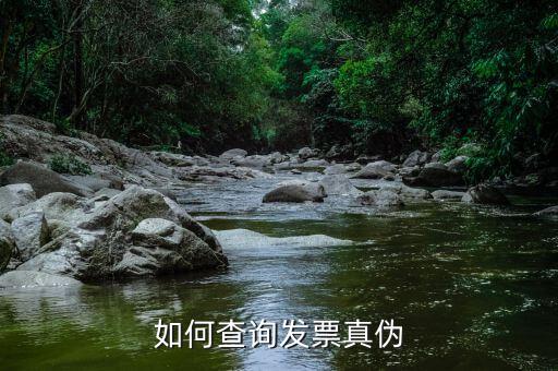 發(fā)票查驗結(jié)果窗口如何，增值稅專用發(fā)票認(rèn)證后的結(jié)果在網(wǎng)上可以查到嗎如果可以查詢請