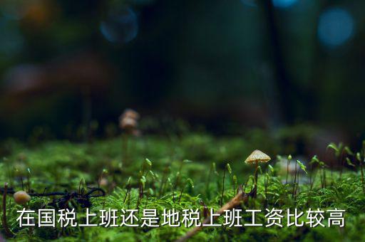 地稅局發(fā)展如何，我要考天津稅務(wù)局想問市區(qū)各地稅局和濱海地稅一分局哪個好呢