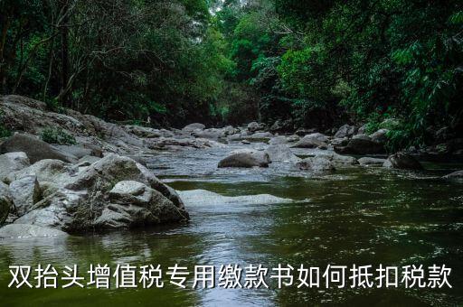 代理進(jìn)口雙抬頭增值稅如何抵扣，海關(guān)稅單雙抬頭 增值稅抵扣問題