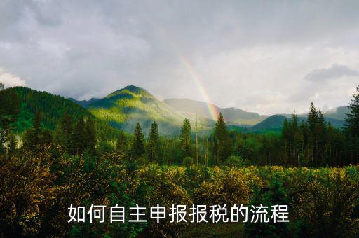 如何進(jìn)行稅務(wù)申報(bào)，個(gè)體戶(hù)如何申報(bào)稅