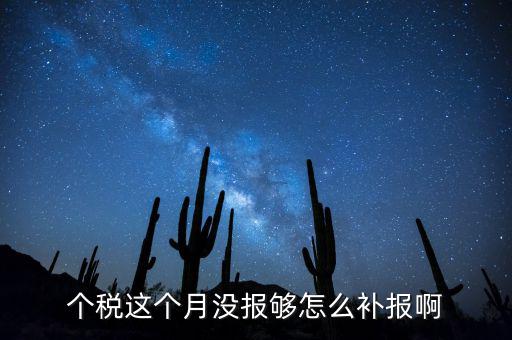 如何補報個人所得稅，個人所得稅報錯了怎么補報