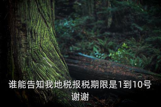 地稅的報稅期是什么時候，地稅中的年度財務(wù)報表申報期限是什么時候