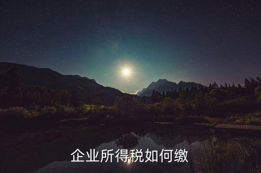 企業(yè)所得稅如何繳稅，企業(yè)所得稅如何繳納