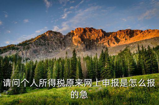 個(gè)人所得稅如何網(wǎng)上申報(bào)，個(gè)人所得稅網(wǎng)上申報(bào)流程