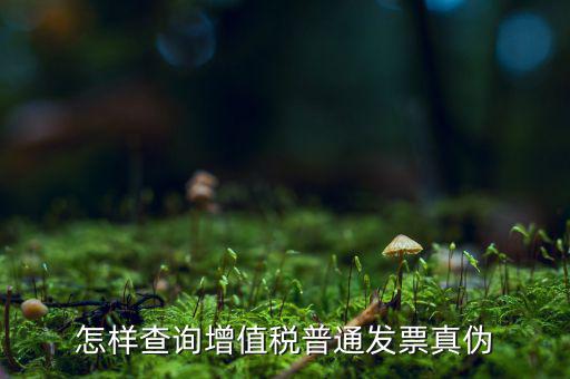 稅務(wù)局如何查發(fā)票真假，如何查稅務(wù)發(fā)票真假