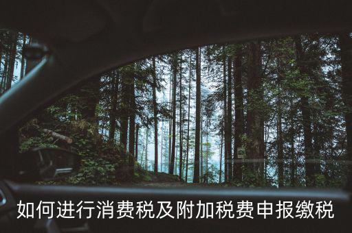 附加稅如何才能申報，如何進(jìn)行消費(fèi)稅及附加稅費(fèi)申報繳稅